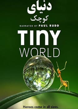Tiny World - دنیای کوچک
