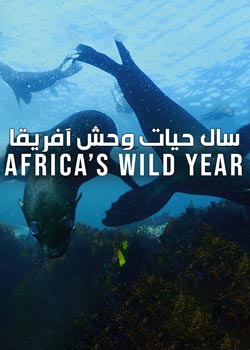 Africa’s Wild Year - سال حیات وحش آفریقا