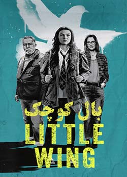 Little Wing - بال کوچک