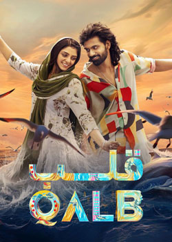 Qalb - قلب