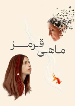 Goldfish - ماهی قرمز