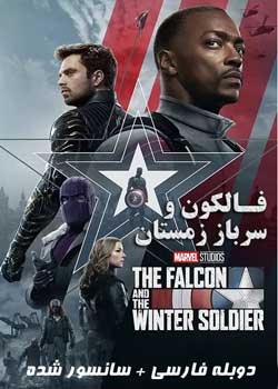 The Falcon and the Winter Soldier